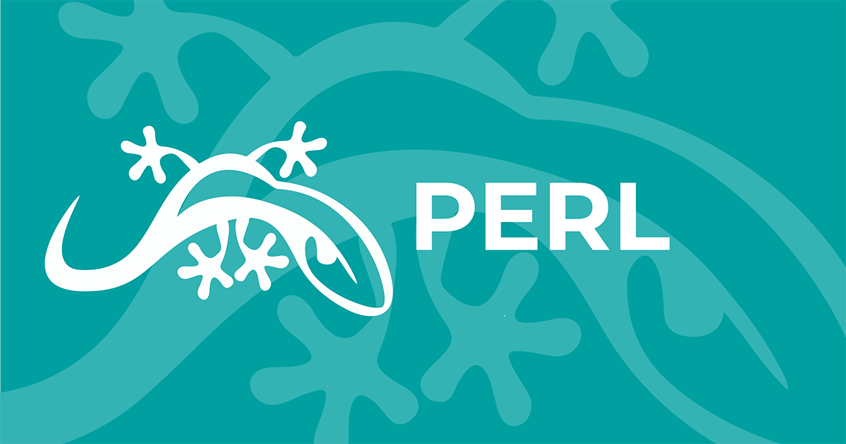 activeperl 5.8 8