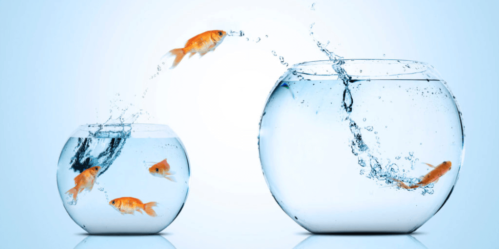 How to Migrate Python 2 Applications to Python 3