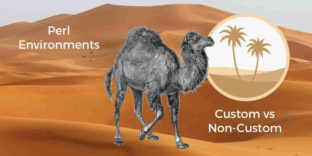 Custom Perl Environments