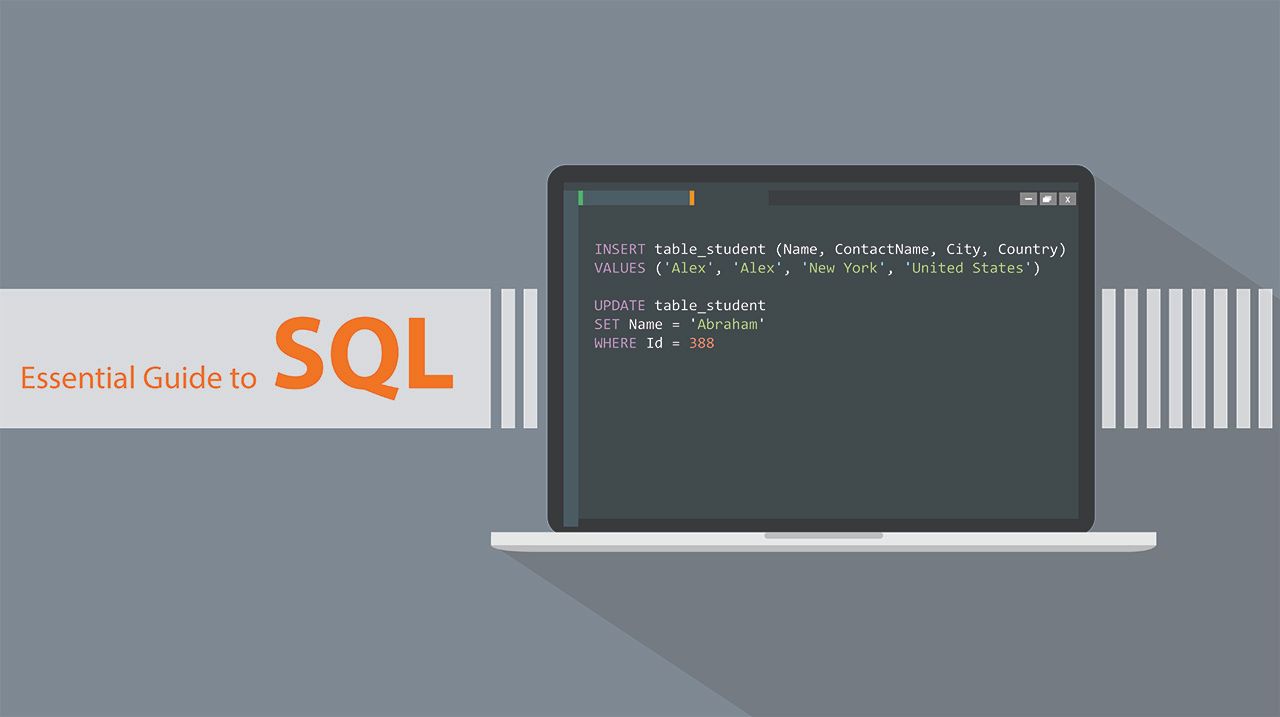 Essential Guide to SQL