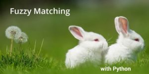 Fuzzy Matching with Python