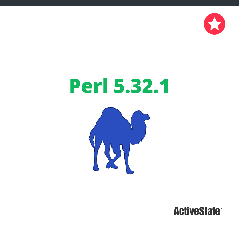 Perl 5.32.1 Update Image
