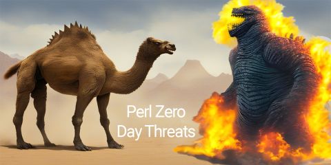 Perl Zero Day Security Threats